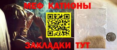 шишки Кандалакша
