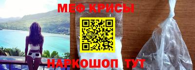 шишки Кандалакша