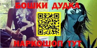 шишки Кандалакша