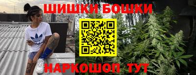 шишки Кандалакша