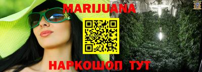 шишки Кандалакша