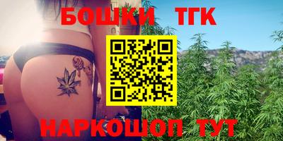 шишки Кандалакша