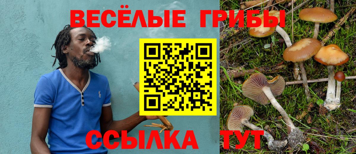 Галлюциногенные грибы GOLDEN TEACHER Шебекино