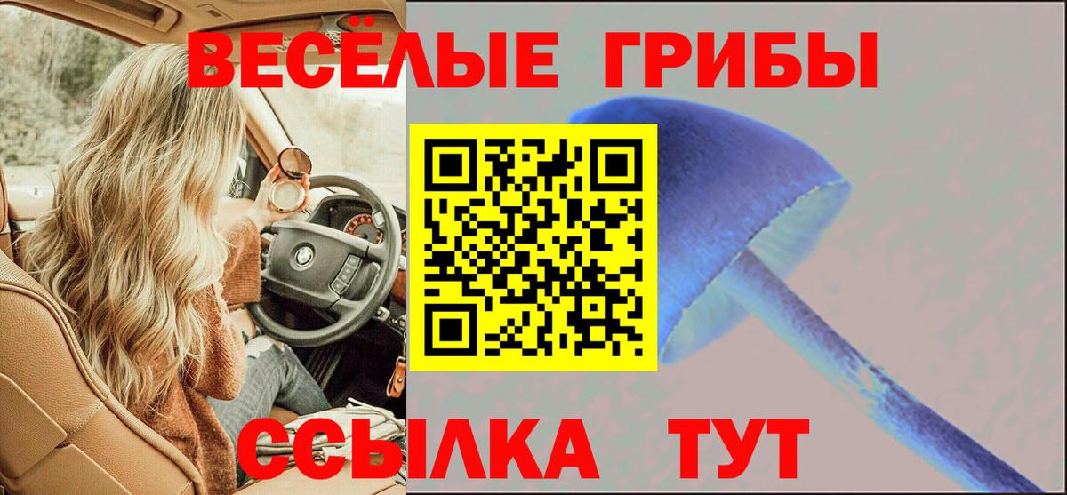 Галлюциногенные грибы GOLDEN TEACHER  Галлюциногенные грибы мицелий  Шебекино  Вход с VPN 